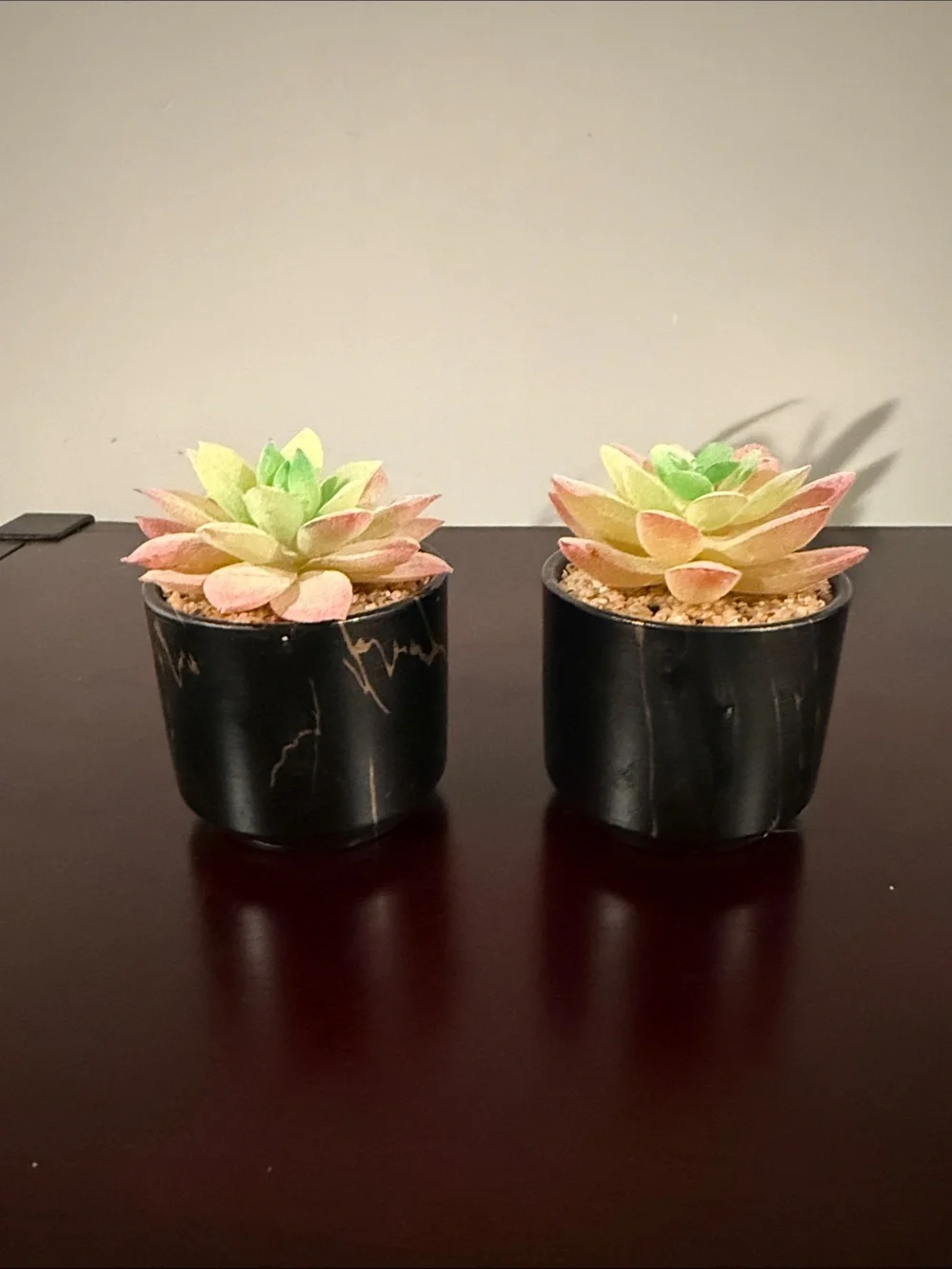 Artificial Succulent Plant in Pink and Green - Home Accents